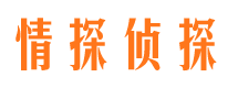 雁塔市婚外情调查